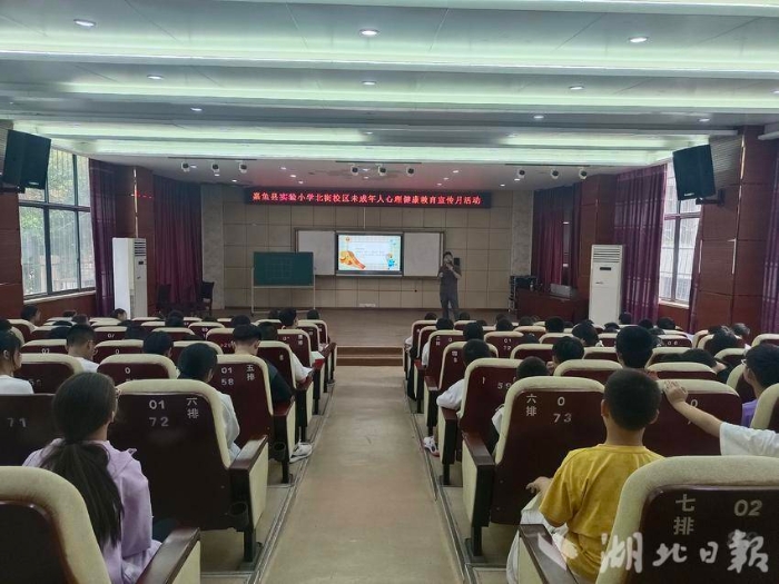 守護心靈陽光 共筑成長港灣——嘉魚縣未成年人心理健康月系列活動綜述.doc